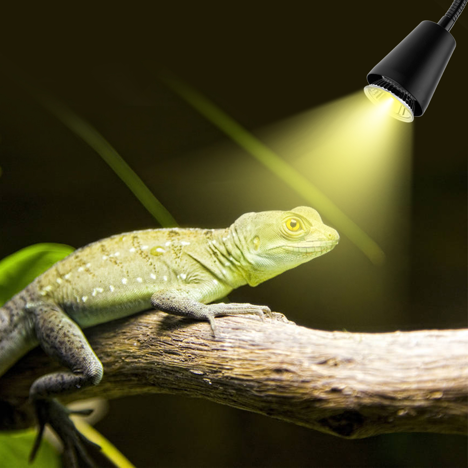 Title 10, Lampe chauffante pour reptiles UVA/UVB, ampoule...