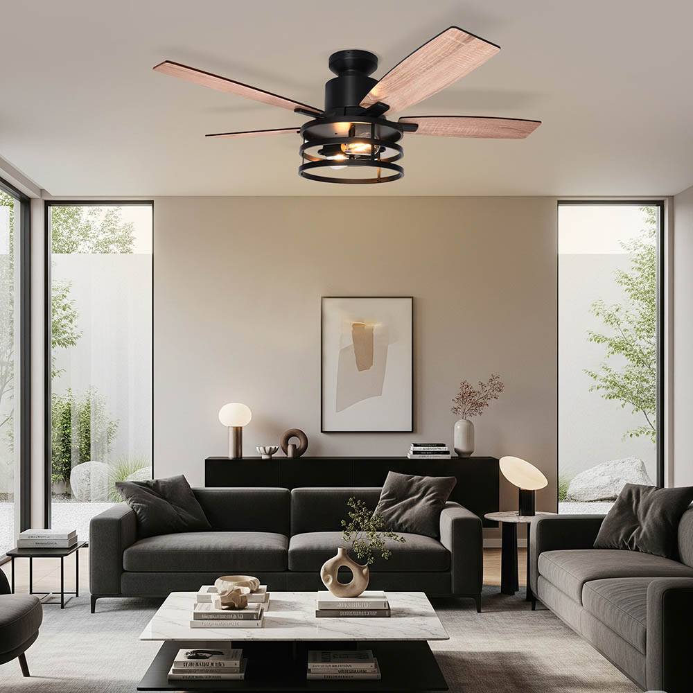 Ventilateur Plafond avec Lumière